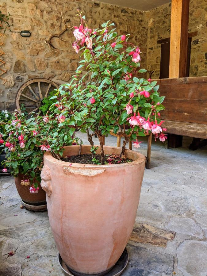 Lomeña Olmares Terrace Apartment - Picos De Europa מראה חיצוני תמונה